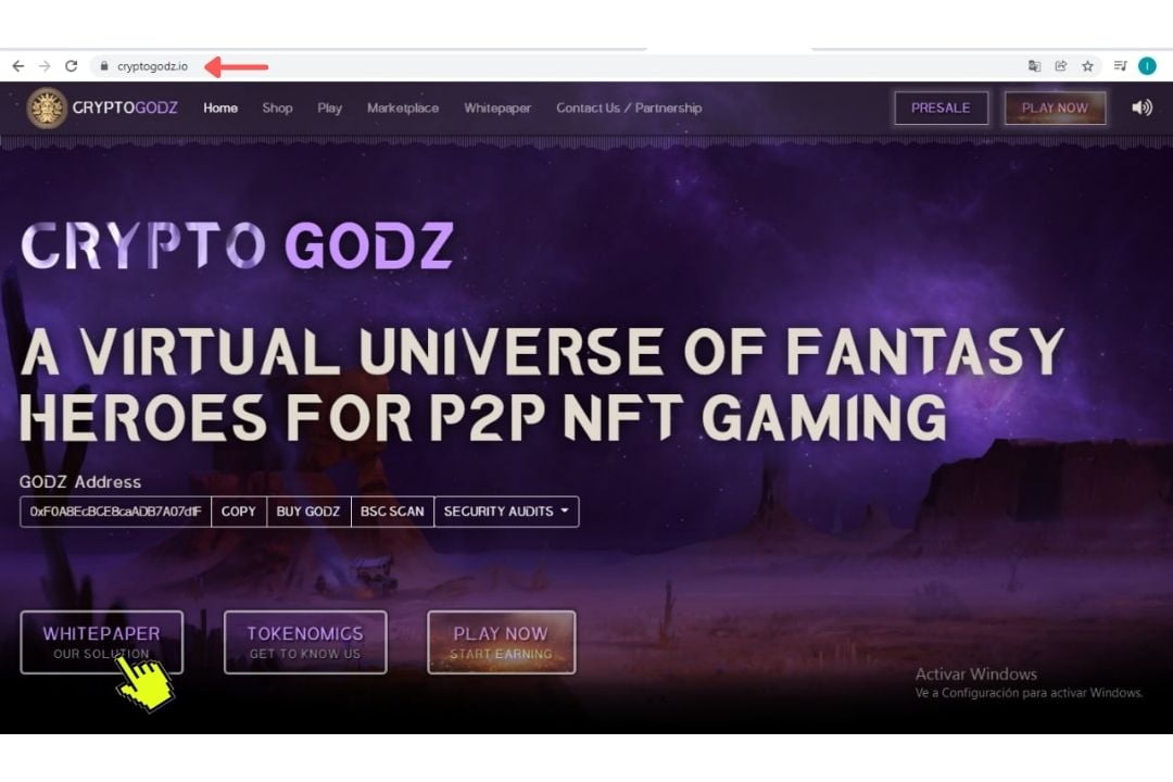 Análisis del Token de Juegos NFT Play to Earn, BSCSCAN